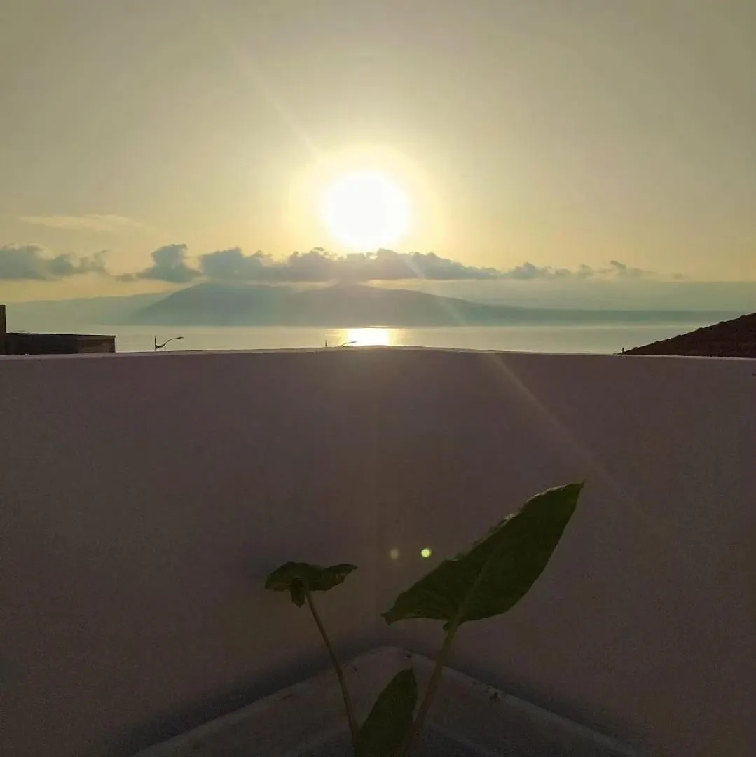 메시나 Salsedine Rent House 아파트 0*,